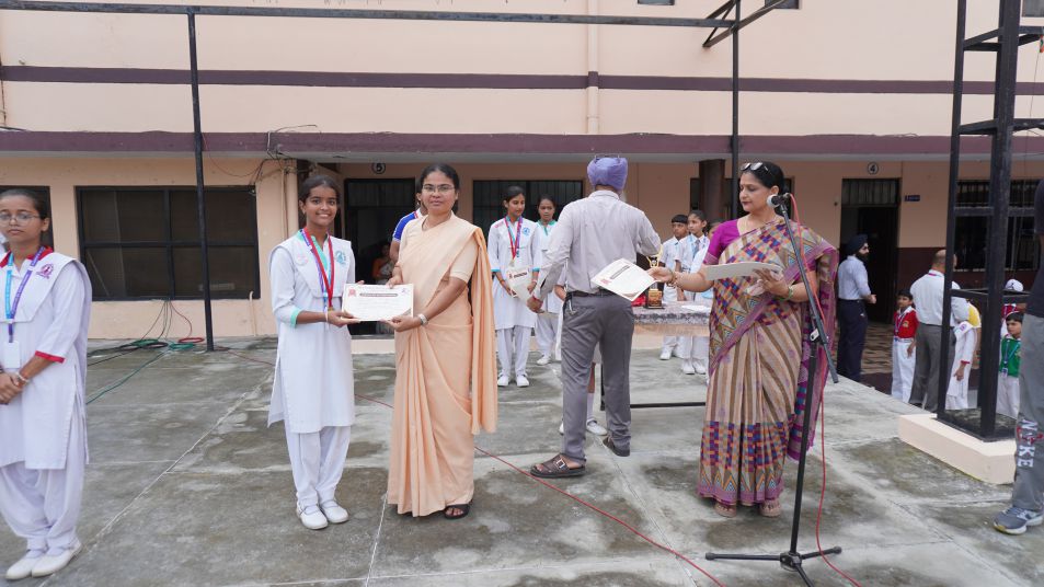 Social cell YSM PROGRAM ON