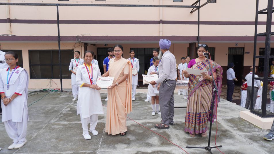 Social cell YSM PROGRAM ON