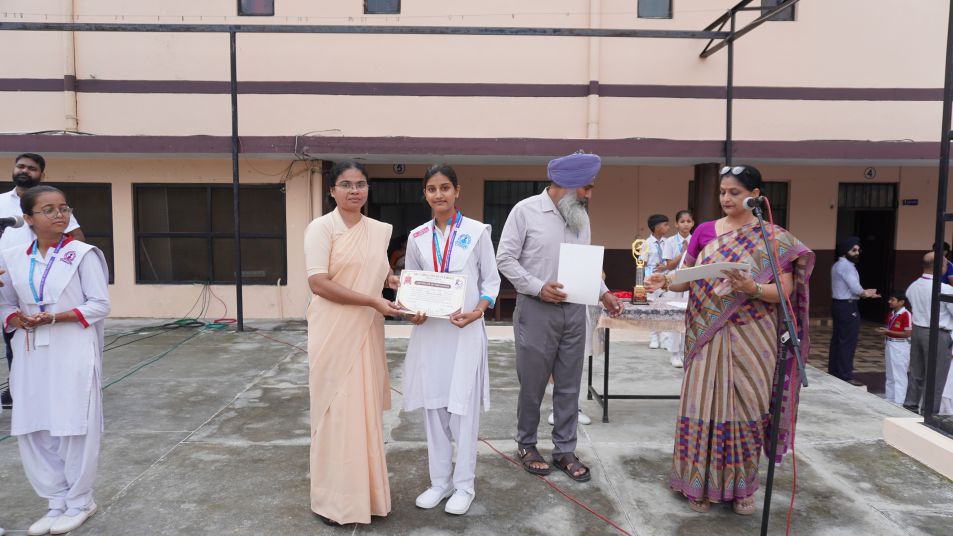 Social cell YSM PROGRAM ON