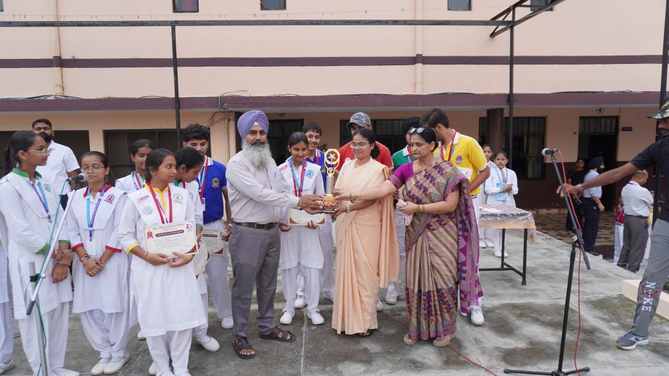 Social cell YSM PROGRAM ON